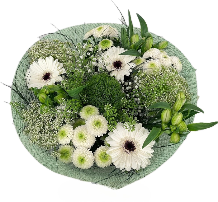 <h4>Bq Serenity white</h4>