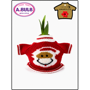 A.BULB with Style - 32cm Christmas Santa