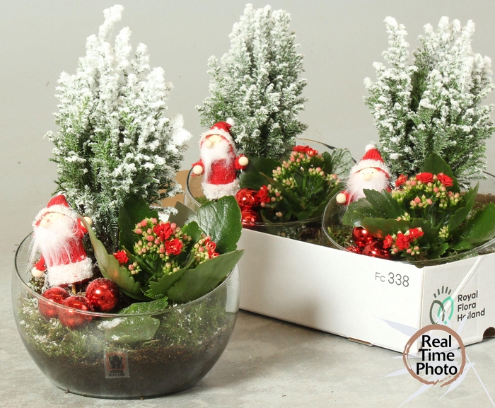 <h4>Arr Kamerpl</h4>