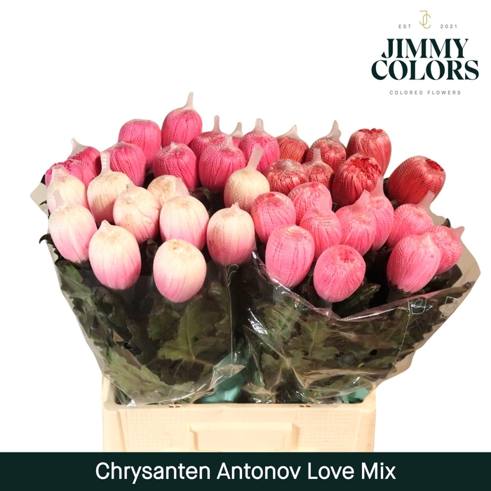 <h4>Chr G Antonov Love mix</h4>
