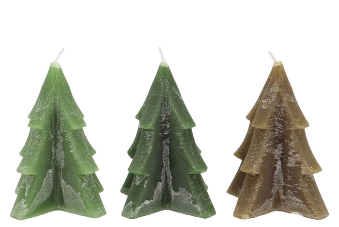 <h4>Candle Frosty Pine Tree Green Mix 12x15cm Ass</h4>