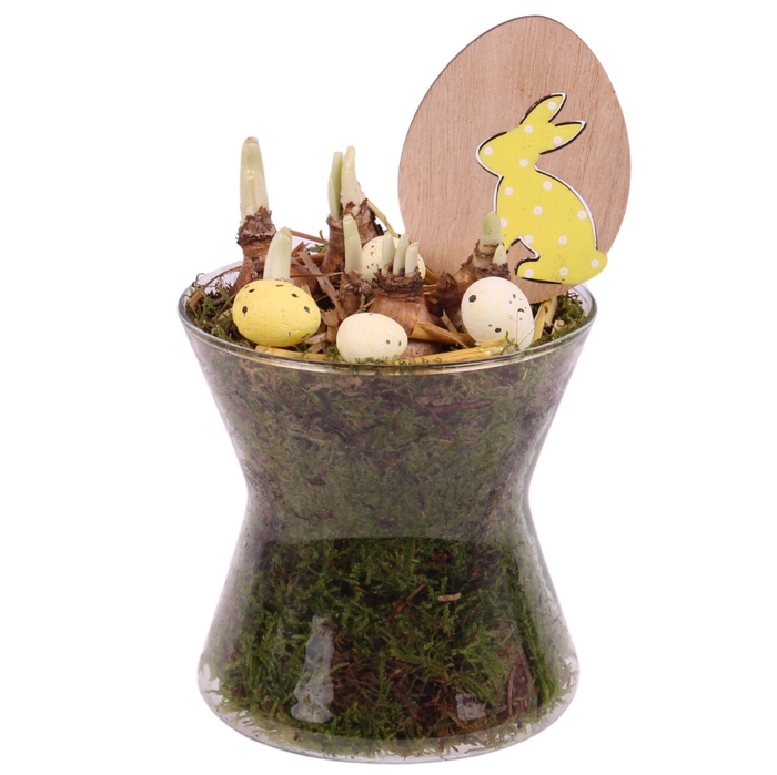 <h4>Easter Arr. Narcis Glass Hourglass Ø13cm</h4>