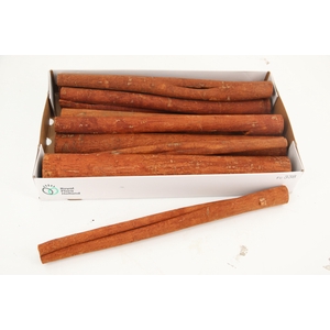 Cinnamon KM 50cm KG