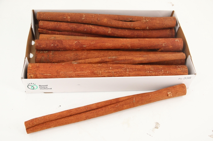 <h4>Cinnamon KM 50cm KG</h4>
