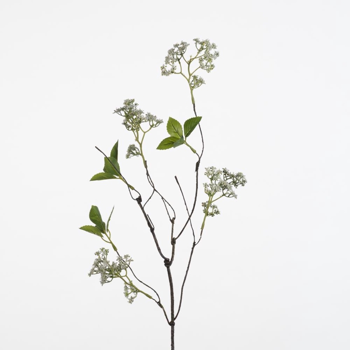 <h4>AF Anthriscus wire L72cm white</h4>