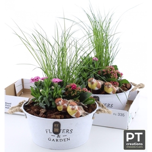 ARR TUINPLANTEN