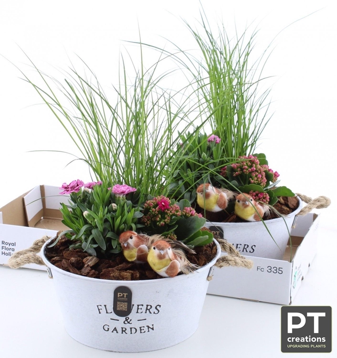 <h4>ARR TUINPLANTEN</h4>
