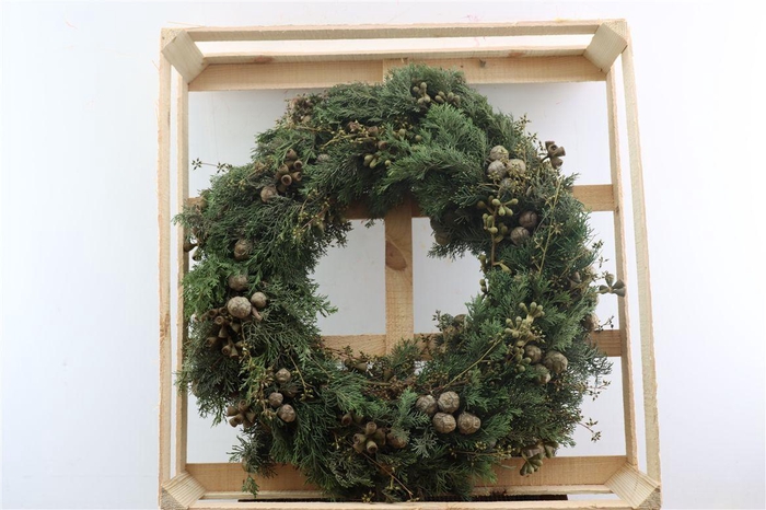 <h4>Wr Christmas Mix Nuts 60cm</h4>