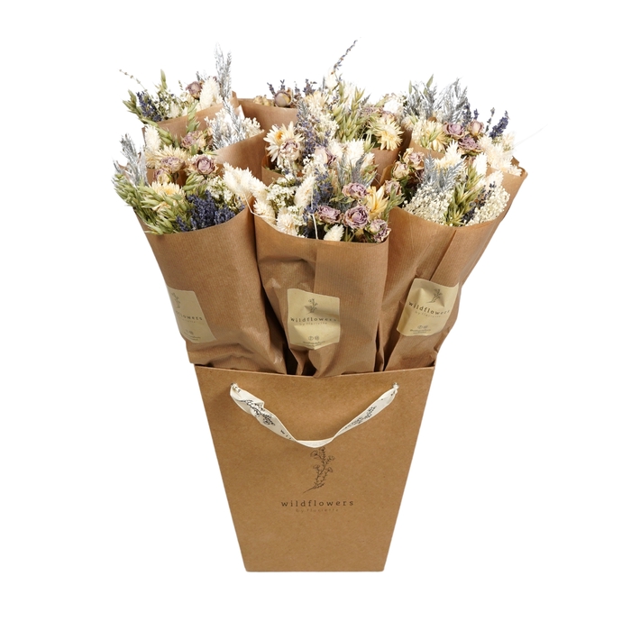 <h4>Dried Bouquet Frost White Market</h4>