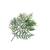 Fern Leather Branch Green