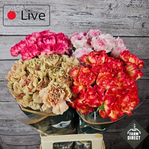 DI ST GEMENGD IN FUST