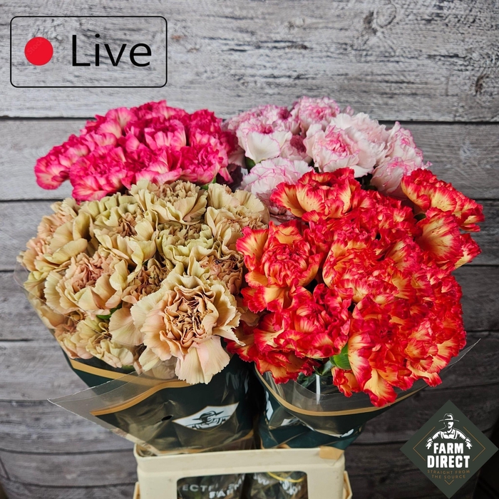 <h4>DI ST GEMENGD IN FUST</h4>