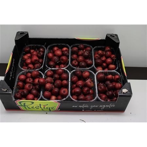 APPEL MALUS ROOD X8