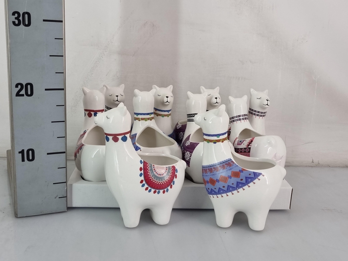 <h4>HUIS EN TUINDECO H%</h4>