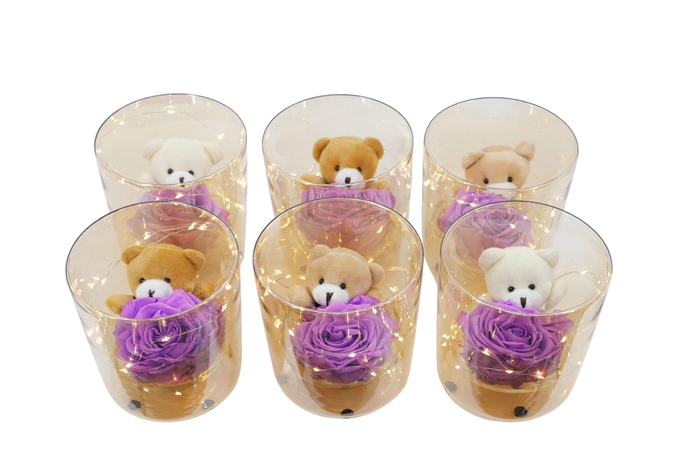 <h4>ARR ROSA POT H%</h4>