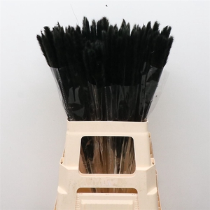 Dried Pampas Fluffy Black