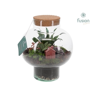 Green Bottle Laura Medium met Terrarium Arrangement