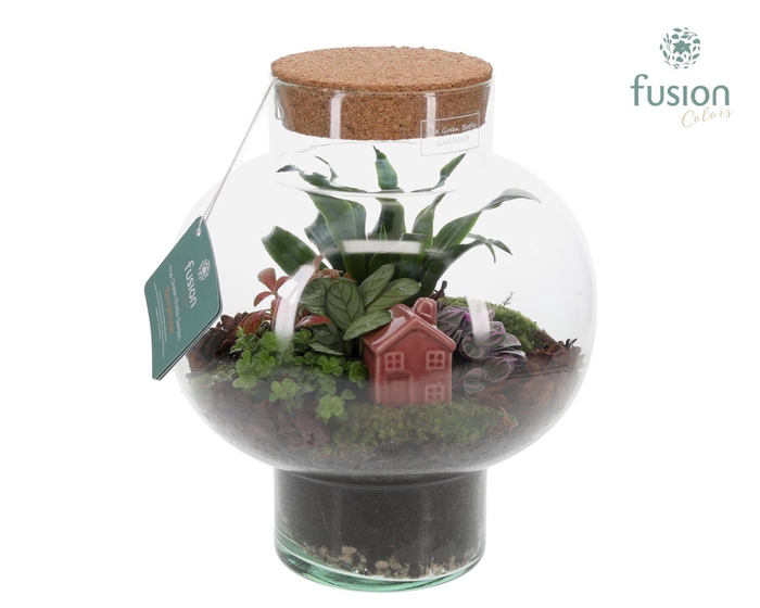 <h4>Green Bottle Laura Medium met Terrarium Arrangement</h4>