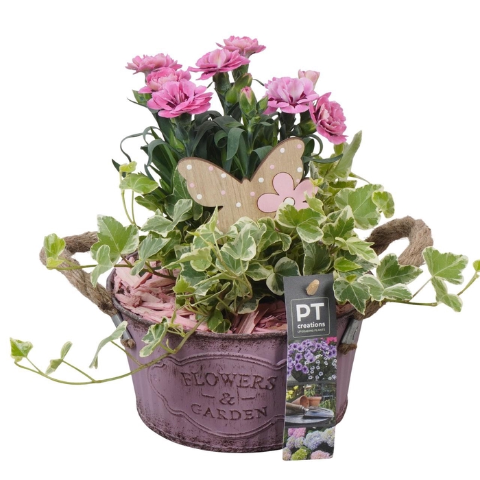 <h4>PTPP6873 Arrangement Patio in metalen schaal</h4>