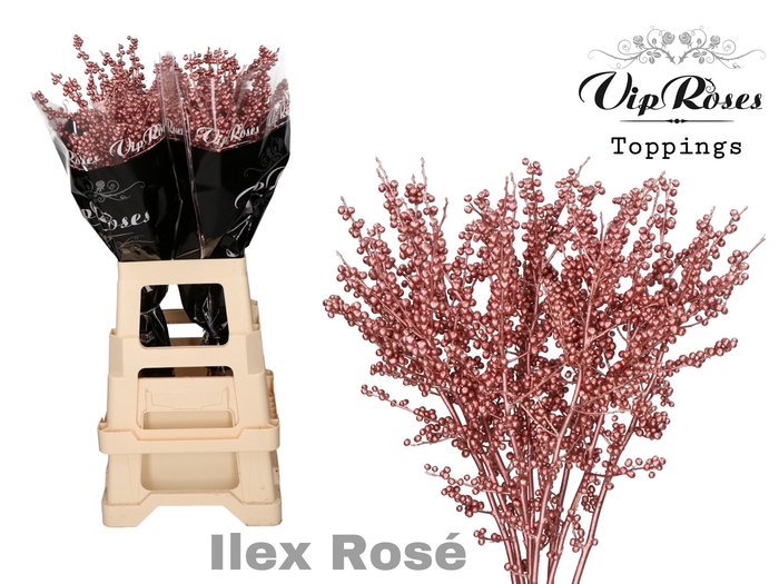 ILEX METALLIC ROSÉ 60 cm