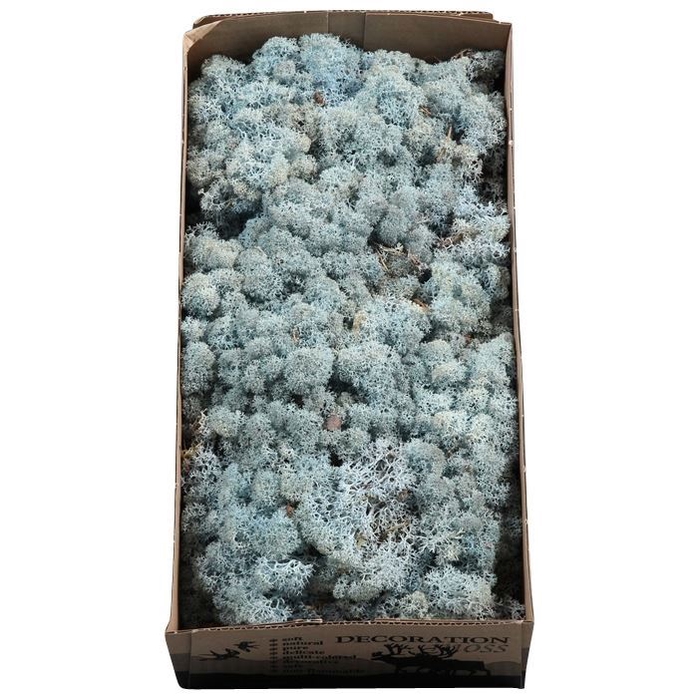 <h4>IJSLANDS MOS ICEBLUE 425GR</h4>
