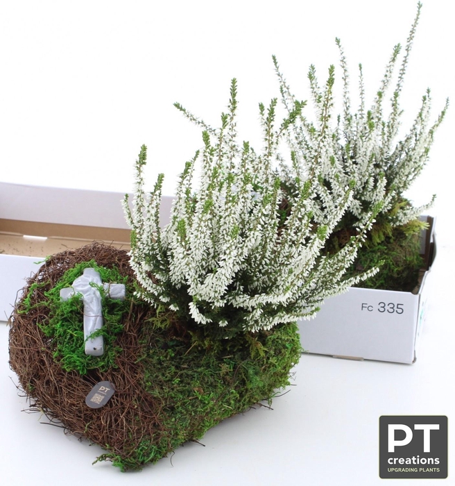 <h4>ARR TUINPLANTEN</h4>