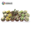 Sierra's® - Granada Cactus Mix (Prime)