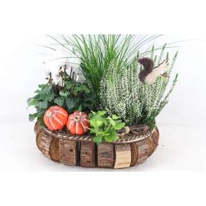 arr4 Outdoor VL - Hout blokjes bruin vaal x2