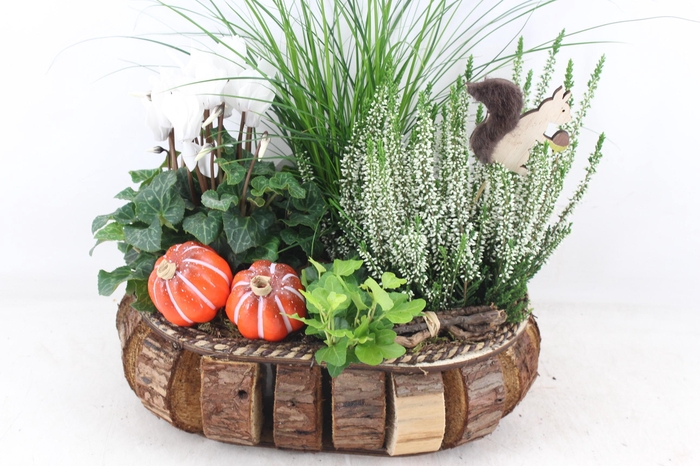 <h4>arr4 Outdoor VL - Hout blokjes bruin vaal x2</h4>