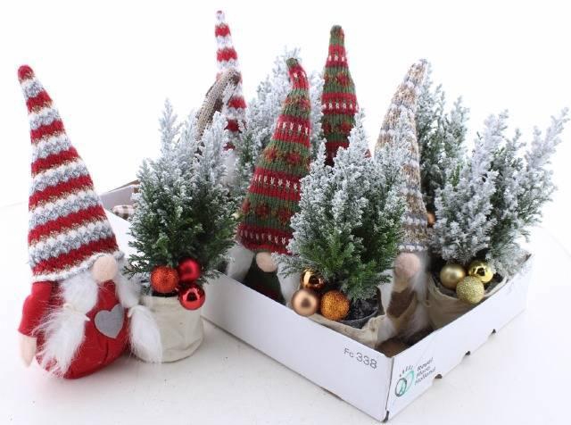 <h4>CHAM L ELLWOODII</h4>