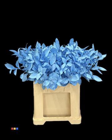 <h4>Ruscus Light Blue</h4>