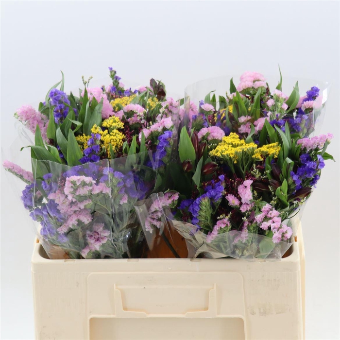 <h4>Gemengd boeket Zomerboeket overig</h4>