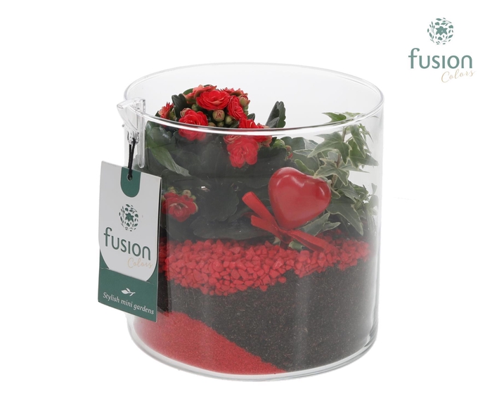 <h4>Glas Cilinder vaas met arrangement</h4>