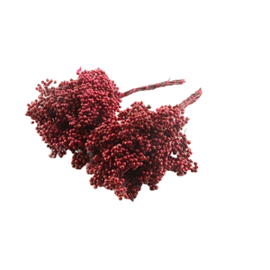 Pepperberry Bordeaux