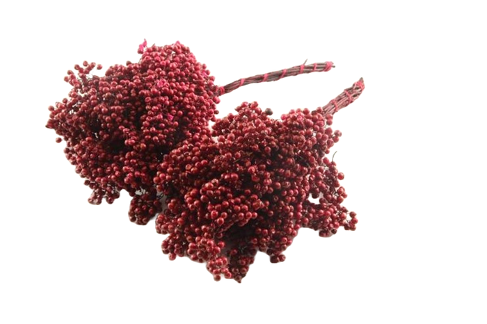 <h4>Pepperberry Bordeaux</h4>