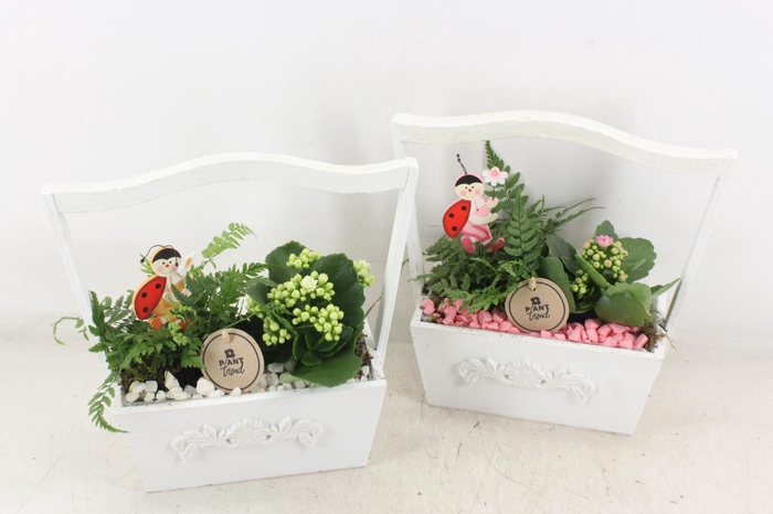 <h4>arr2 PL - Hout hengselkist wit - roze/wit</h4>