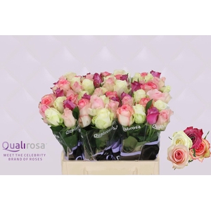 R Gr Mix Candy Crush