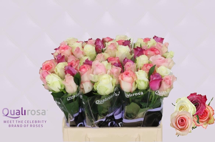 <h4>R Gr Mix Candy Crush</h4>