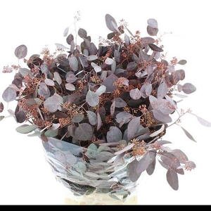 EUC PO FRU KLB BS H%