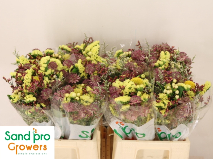 <h4>GEM ZOMERBOEKET</h4>