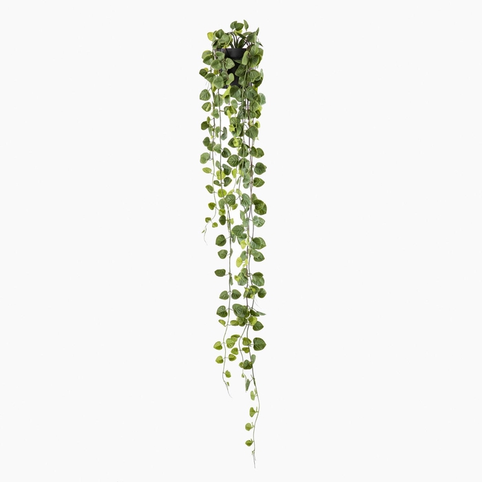 <h4>Philo Plant in Pot Green PP550057GRN</h4>