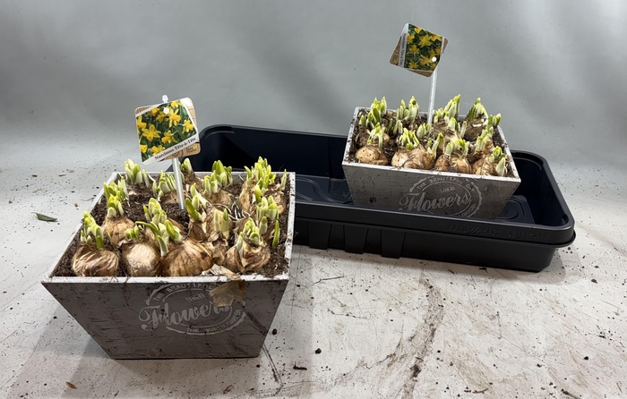 <h4>ARR N TETE A TETE</h4>