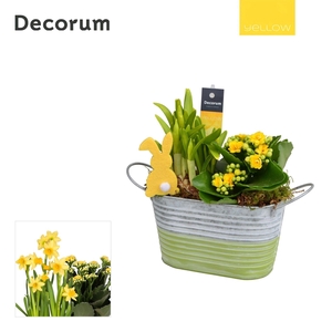 Calandiva & Narcis Duo Zink HL21705 [YELLOW]