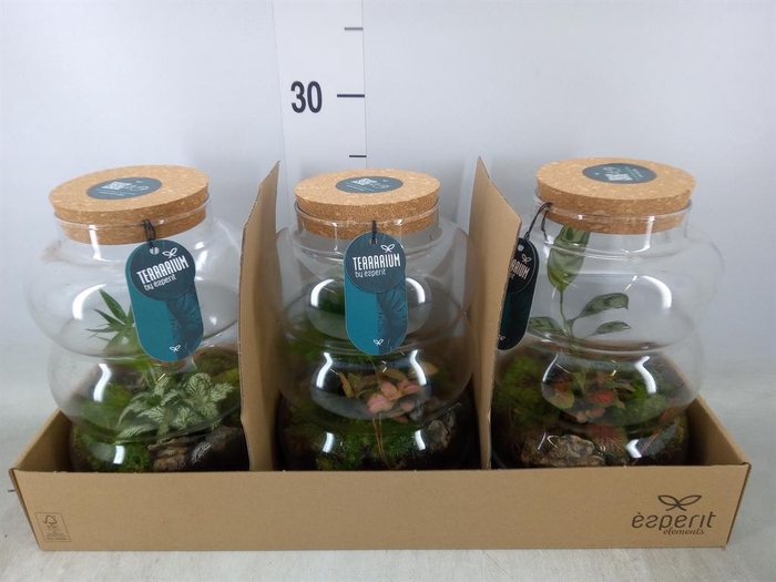 <h4>Arr.    Planten  H%</h4>