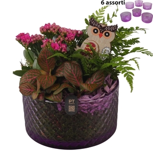 Arr.   Planten L%