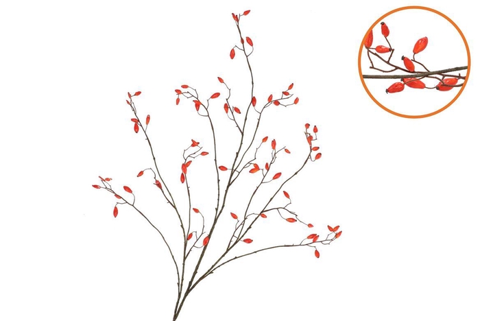 <h4>Silk Rosebottle Orange 133cm</h4>