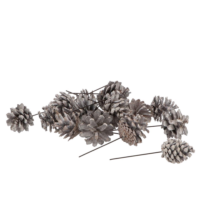 <h4>Pick Nature Silvester Stonewash P/75</h4>