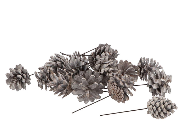 Pick Nature Silvester Stonewash P/75