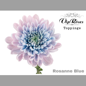 CHR G ROSANNE BLUE