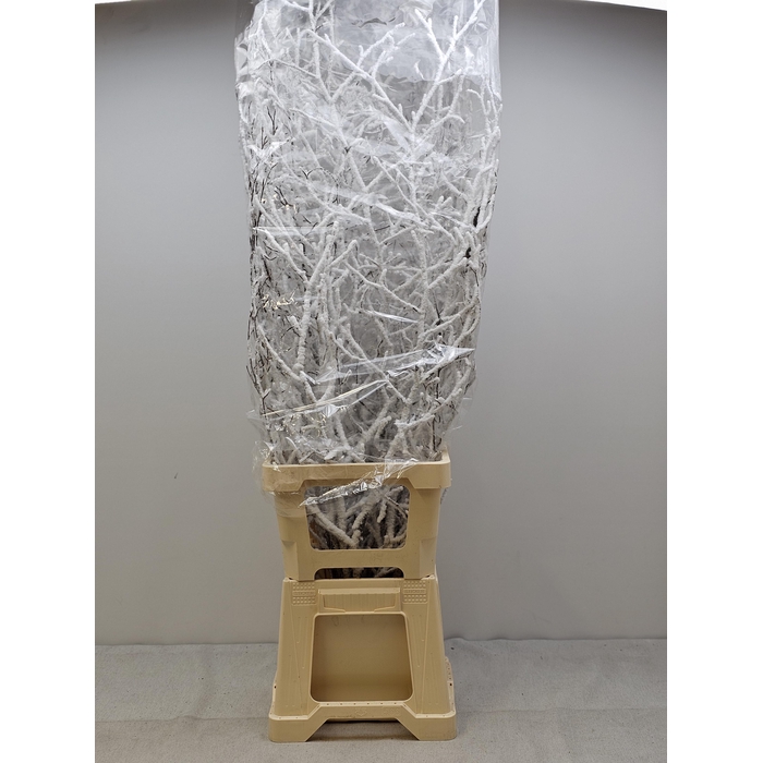 <h4>KERST BEUK SNEEUW</h4>